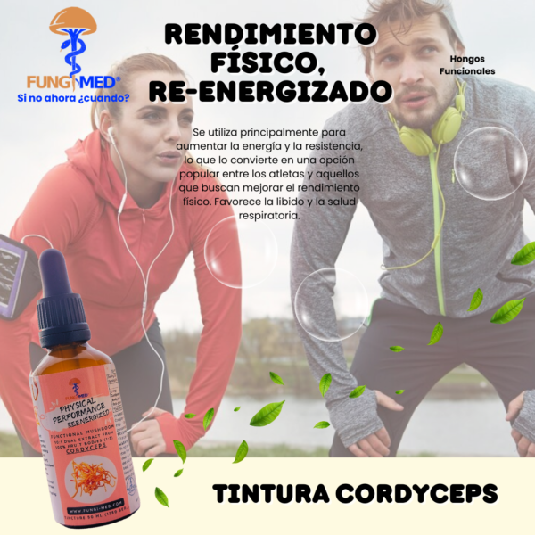 TINTURA DE CORDYCEPS - Imagen 3