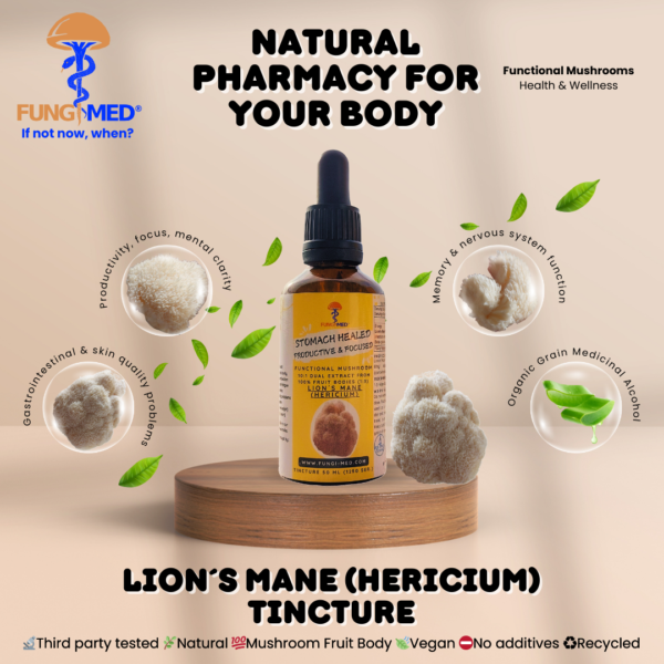 LION´S MANE (HERICIUM) TINCTURE - Image 2