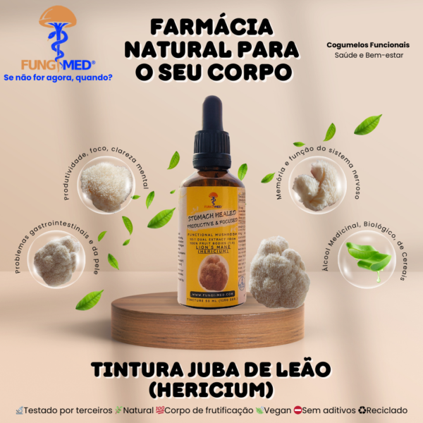 TINTURA DE JUBA DE LEÃO (HERICIUM) - Image 2