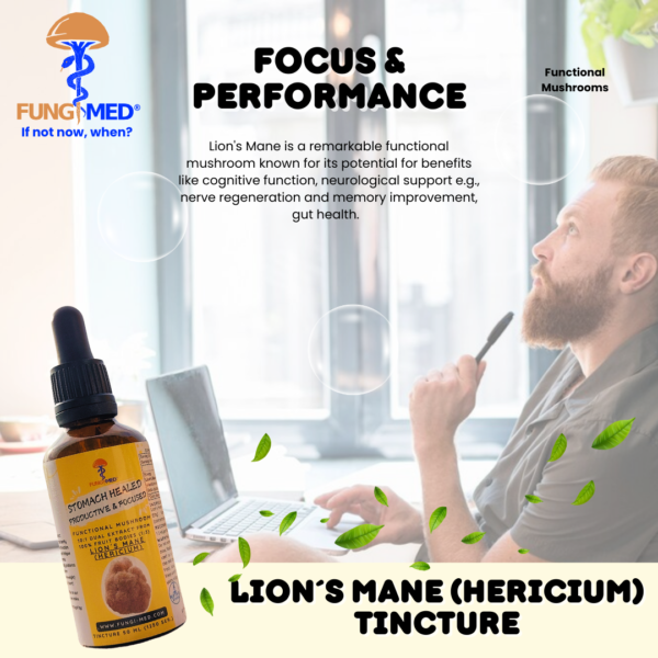 LION´S MANE (HERICIUM) TINCTURE - Image 3