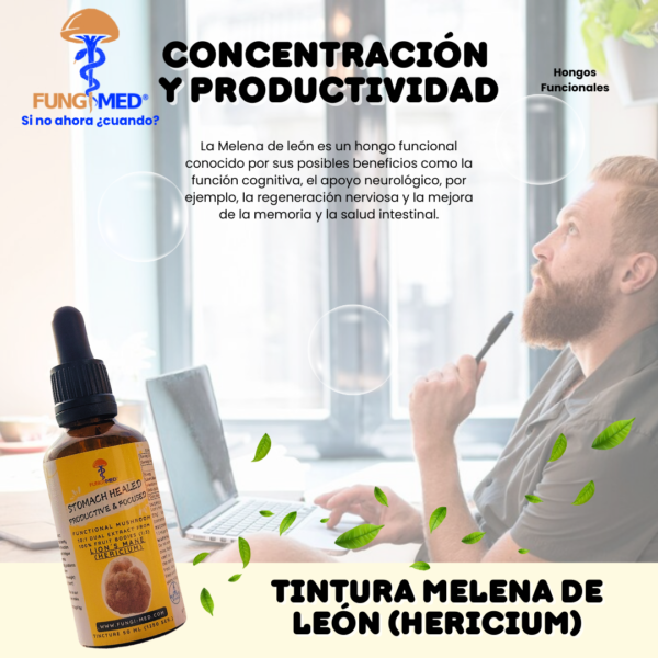 MELENA DE LEÓN (HERICIUM)_TINTURA - Imagen 3