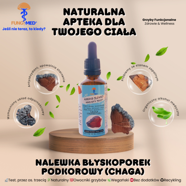 BŁYSKOPOREK PODKOROWY (CHAGA, INONOTUS) NALEWKA - obrazek 2