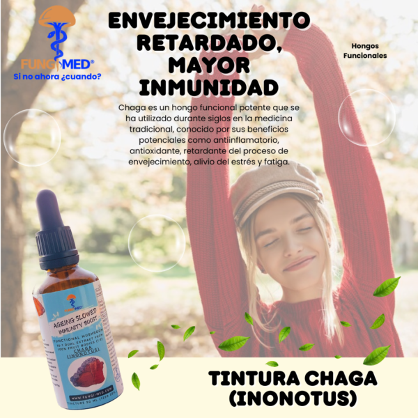 TINTURA DE CHAGA (INONOTUS) - Imagen 3