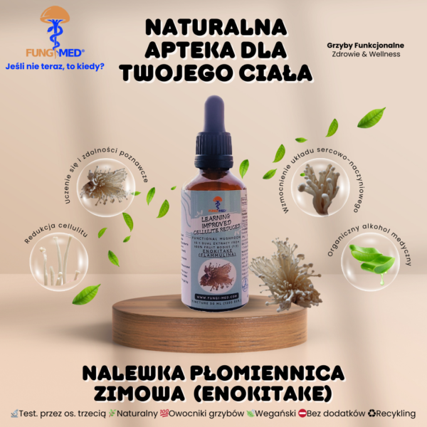PŁOMIENNICA ZIMOWA (ENOKITAKE, FLAMMULINA) NALEWKA - obrazek 2