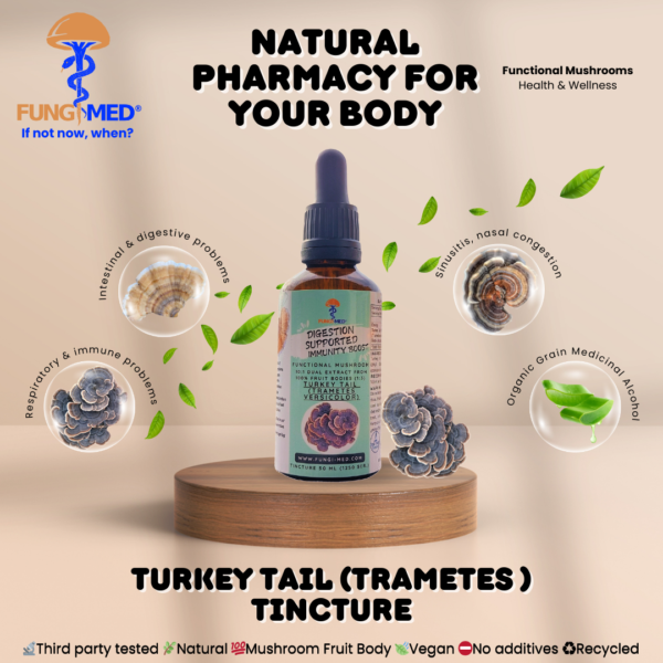 TURKEY TAIL (TRAMETES  VERSICOLOR) TINCTURE - Image 2