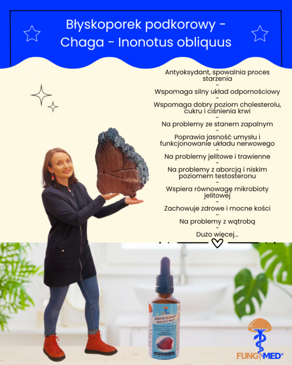 BŁYSKOPOREK PODKOROWY (CHAGA, INONOTUS) NALEWKA - obrazek 7