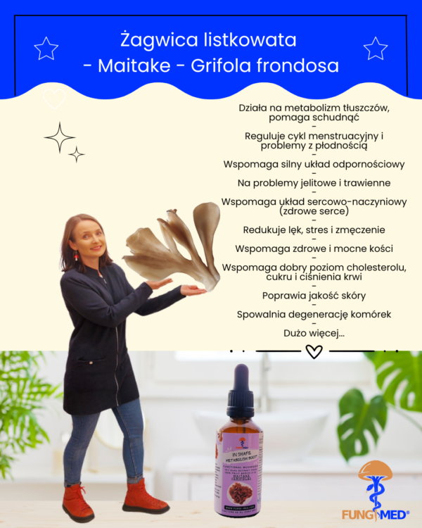 ŻAGWICA LISTKOWATA (MAITAKE, GRIFOLA) NALEWKA - obrazek 7