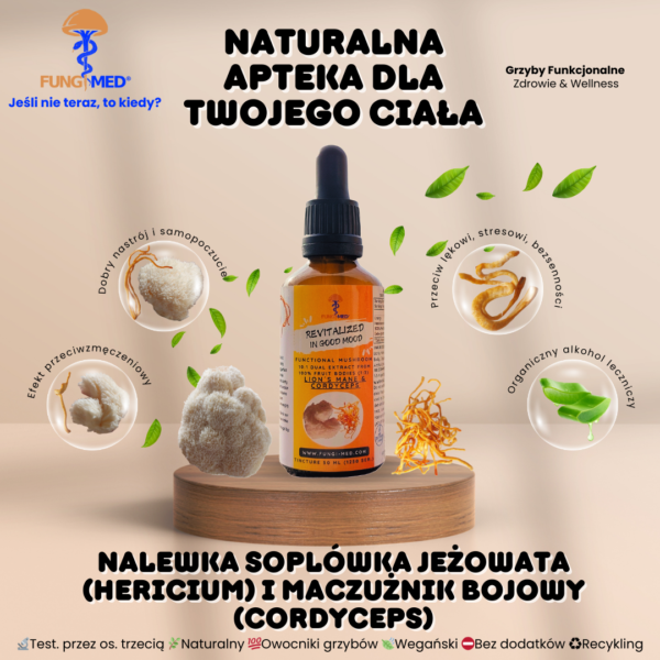 Soplówka jeżowata (Hericium) i Cordyceps Nalewka - obrazek 2