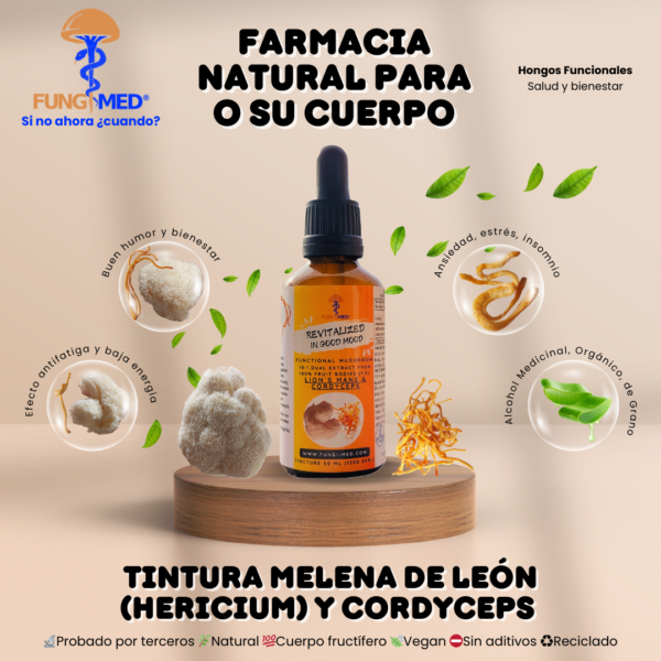 MELENA DE LEÓN (HERICIUM) Y CORDYCEPS TINTURA - Imagen 2