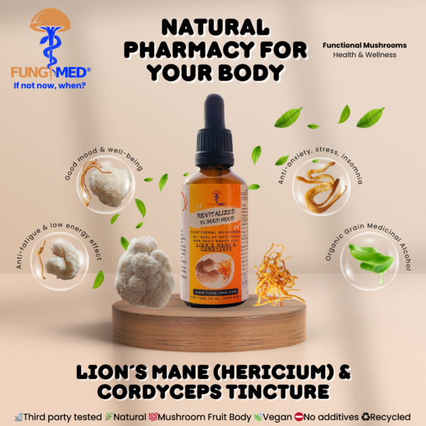 LION´S MANE (HERICIUM) & CORDYCEPS TINCTURE - Image 2