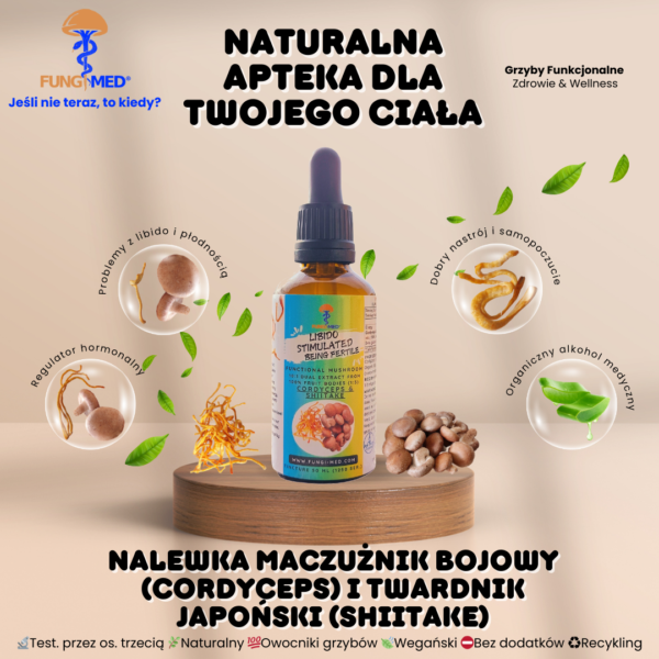 MACZUŻNIK BOJOWY (CORDYCEPS) I TWARDNIK JAPOŃSKI (SHIITAKE, LENTINULA) NALEWKA - obrazek 2