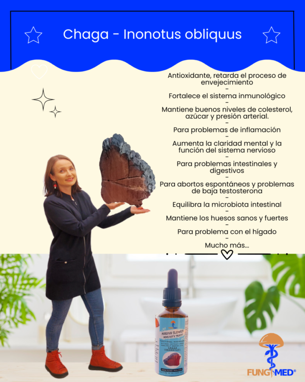 CHAGA (INONOTUS)_TINTURA - Imagen 7