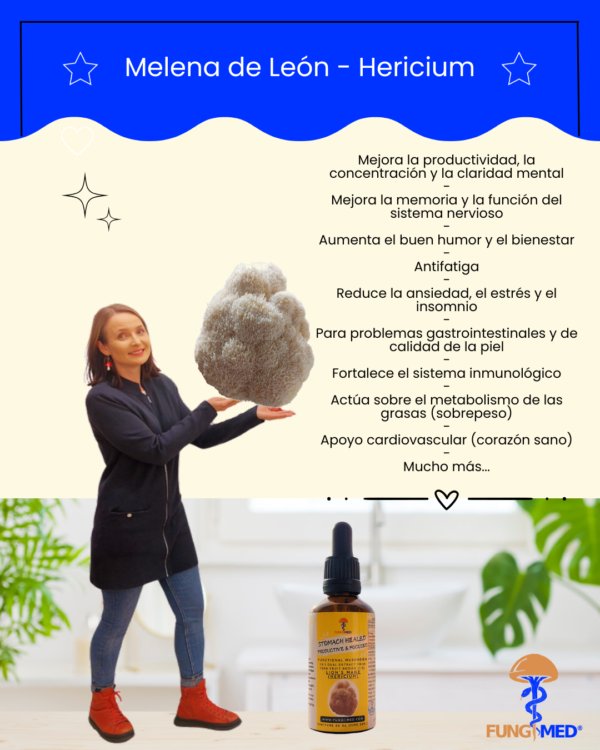 MELENA DE LEÓN (HERICIUM)_TINTURA - Imagen 7